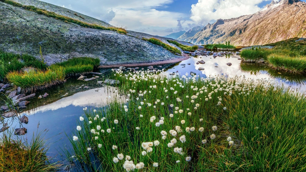 Przełęcz Grimsel w Szwajcarii