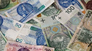 Polski złoty zyska na wartości? Rynkowe prognozy eksperckie na rok 2024