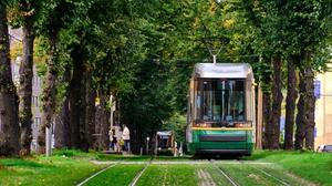 Naukowcy sprawdzają, czy tramwaje mogą wspomóc miejską przyrodę